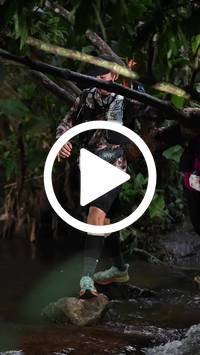 BIB:  <button type="button" onclick="openModal(27553226)" class="btn btn-primary btn-sm float-right" data-toggle="modal" data-target=".modal-high-quality">
                <i class="fa fa-download"></i> Download
                </button>